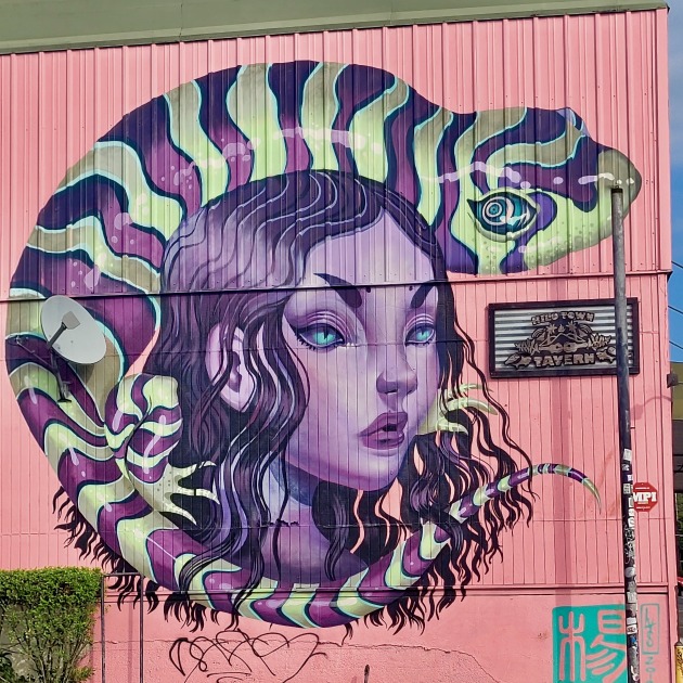Girl Gecko Mural Slider