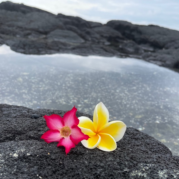 Ocean Flowers Slider